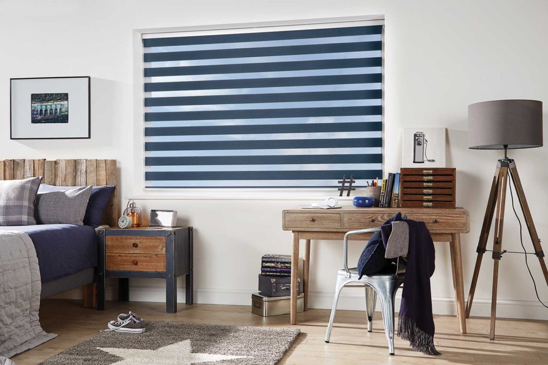 Vision day and night blinds